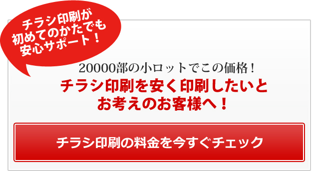 初回限定特別価格、チラシ印刷