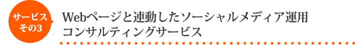 Webページと連動したソーシャルメディア運用コンサルティングサービス