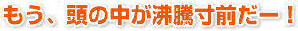 もう頭の中が沸騰寸前だー！