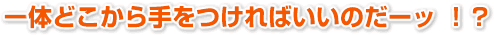 一体どこから手をつければいいのだーッ！？
